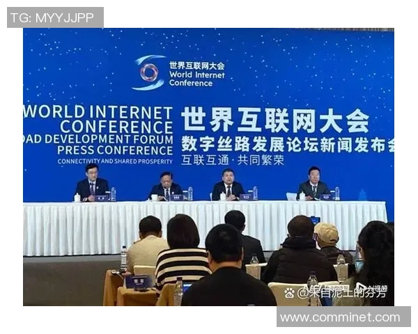 构建全球统一数字身份与年龄验证系统的创新构想与实施路径探讨